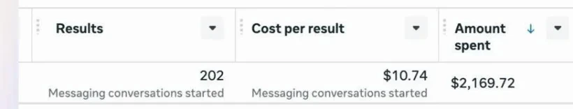 Meta Ads Manager dashboard showing 202 messaging conversations started at $10.74 cost per result for Velo Rentals